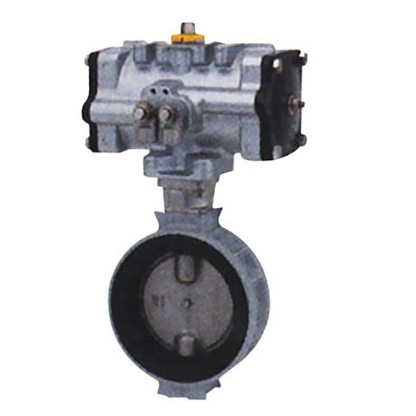 KITZ開滋閥門FCD/SCS蝶閥立式齒輪VG-10DJU-300A