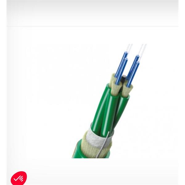英國(guó)Scaime 2合1力傳感器K1882-50kN
